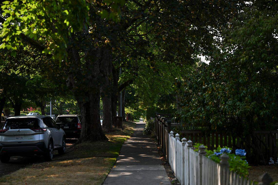 Trees grow over the sidewalk and street providing cooling shade on North 30th Street in Tacoma, Thursday, Aug. 24, 2023.