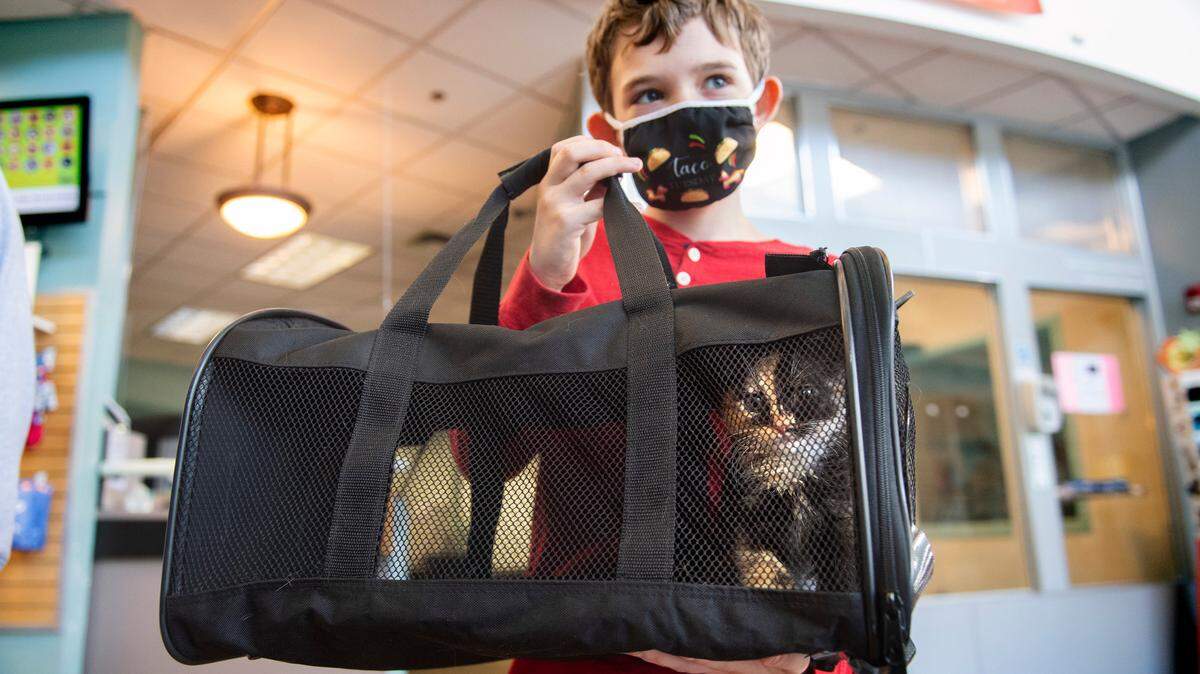 Garrett West, 10, of Port Orchard, carries his family’s new kitten they adopted from the Humane Society for Tacoma & Pierce County in Tacoma, Washington, on Wednesday, July 7, 2021.