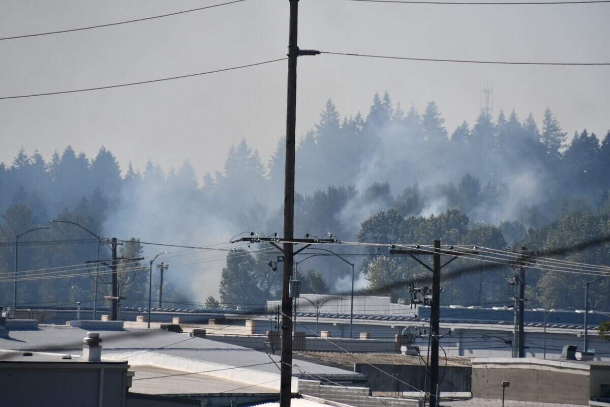 A large brush fire burned in a grassy field Monday west of South Tacoma Way. Tacoma Fire Department crews responded and extinguished the flames.