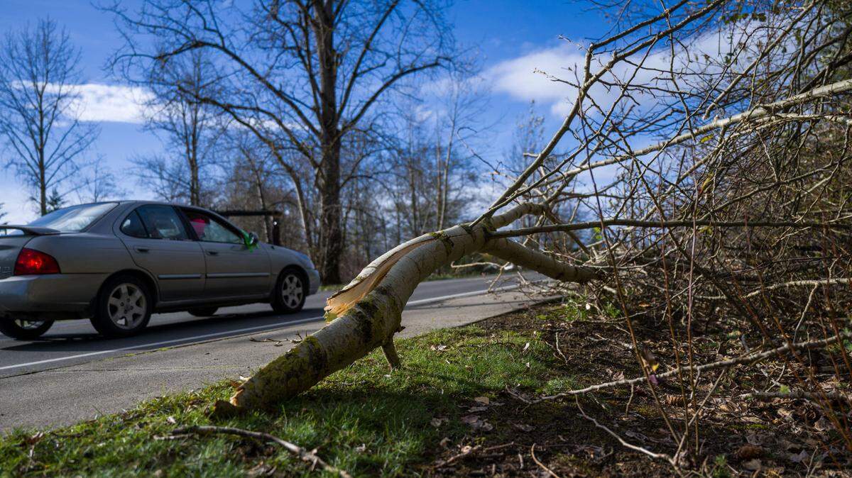 Fallen branches litter the sidewalk on SE 456th St in Enumclaw, Wash., on Wednesday, Nov. 20, 2024.