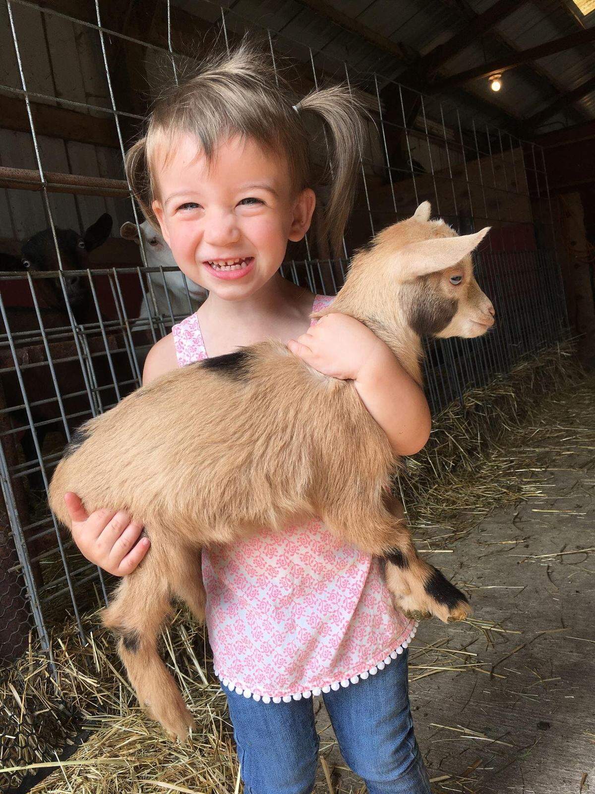 Deyton Cunningham holds Elsa, a kid (baby goat) Nigerian dwarf at her family’s Simple Goodness Sisters farm in Buckley, Wash. These friendly animals will be part of the Garlic & Goats Festival in Wilkeson on August 21, 2022.