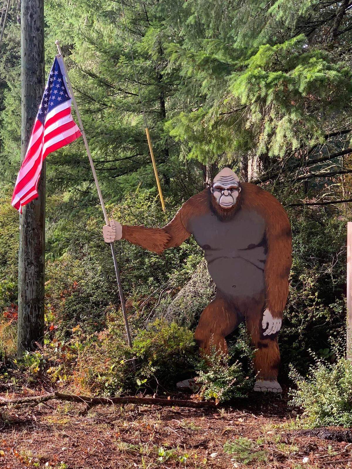 Scott Bows changed Squatch’s look for Veterans Day.