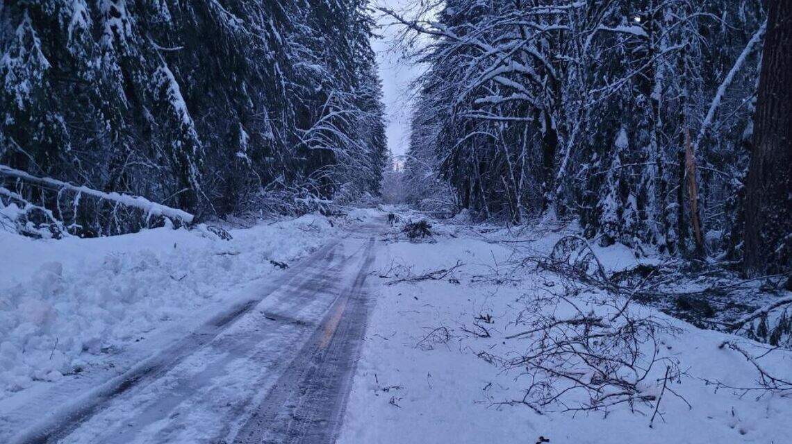 48-mile stretch of U.S. 101 enters day 4 of closure in WA | Tacoma News ...