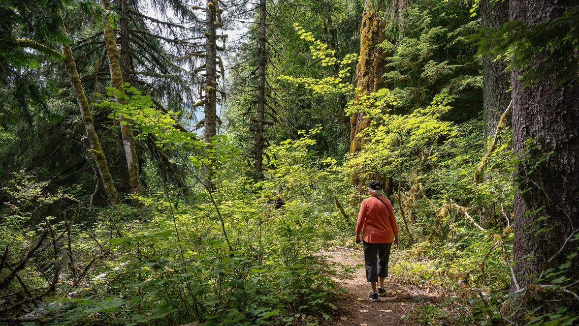 What makes Washington one of top 10 states for hiking? See latest ranking