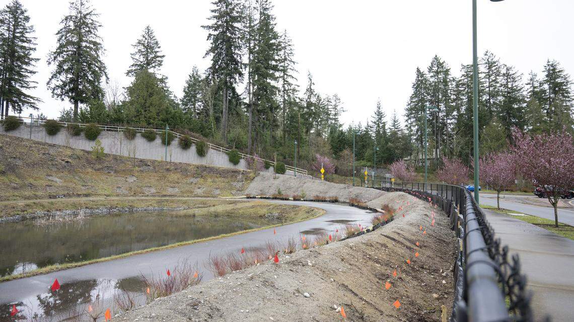 ‘Scab of Gig Harbor’ to get hundreds of trees, shrubs in beautification project