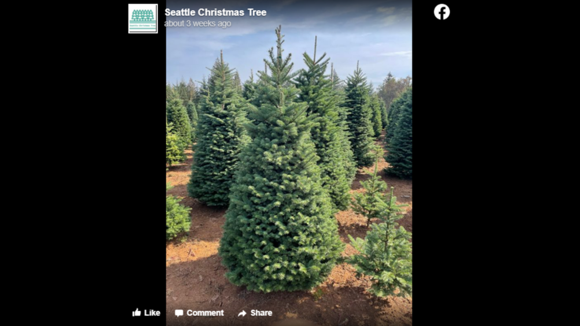 Yelp recognized 25 of the top spots for Christmas trees and two places in Washington made the list.