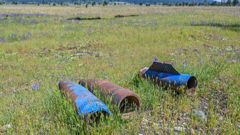 Guarded by JBLM and Chief Leschi’s spirit, these South Sound prairies endure