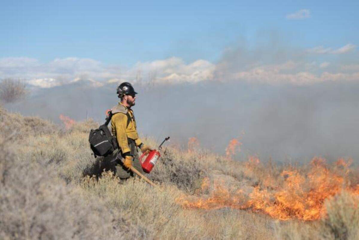 Firefighters with the Bureau of Land Management carefully monitor and contain fire treatments to designated areas.