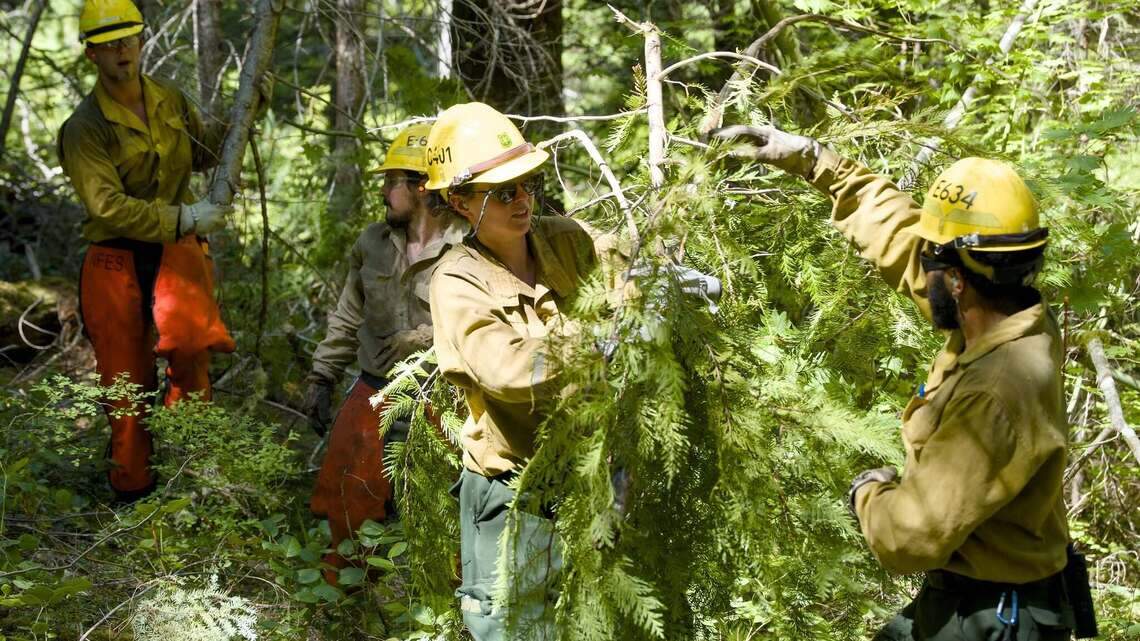 Lightning sparks new wildfires in Mount Rainier NP, ranger cabin threatened