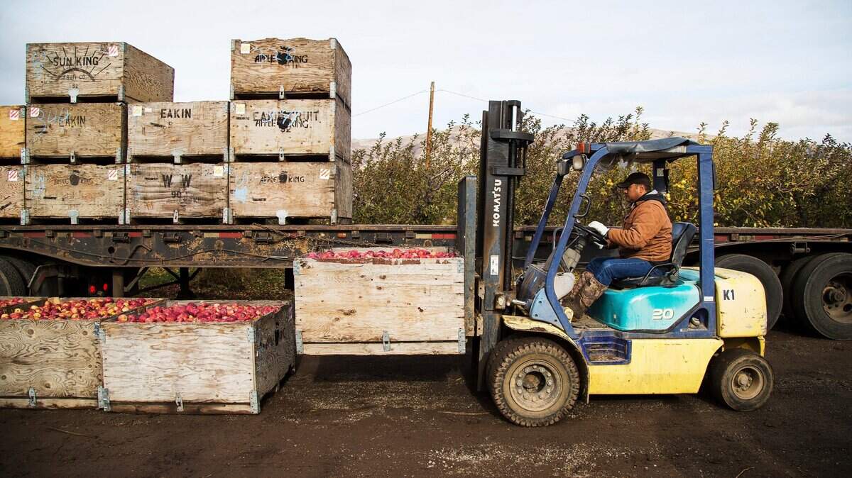 Chinese tariffs on American agricultural products is no small matter for a state like Washington, which not only grows a lot but also sells much of what it produces to the rest of the world.