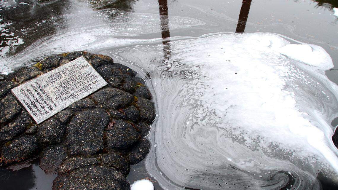 Foam floats in the reflecting pond as firefighters work to extinguish a blaze at the Pagoda inside Point Defiance Park in Tacoma on April 15, 2011.