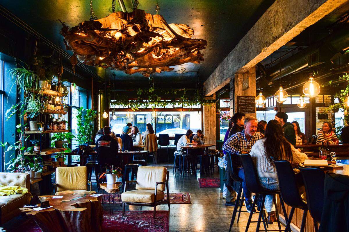 Cider & Cedar was named the best cider-focused bar in the Northwest by the American Cider Association in 2025. The downtown Tacoma space, adorned with 300-some plants, offers a lounge-like space that has attracted regulars, groups, dates and live-music seekers.