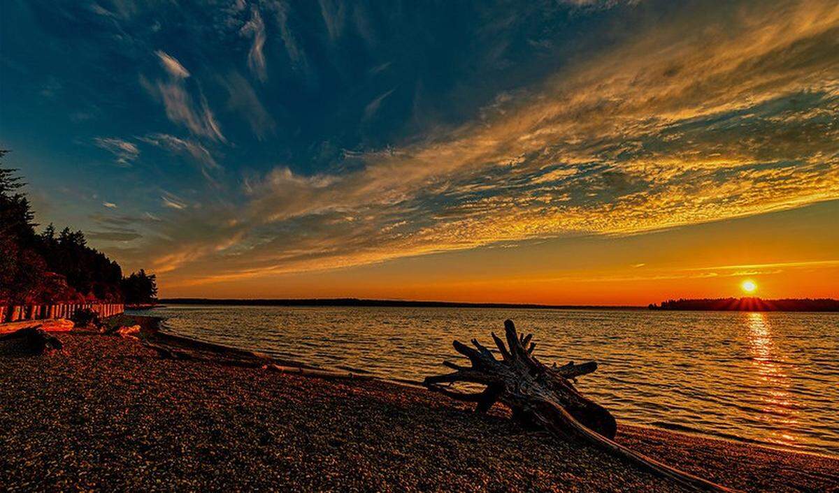 The Sequalitchew Creek Trail starts outside DuPont City Hall and ends at a pebbled beach.