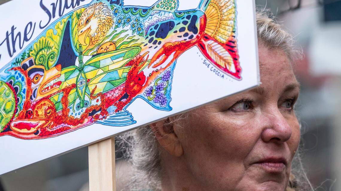 Power bills could jump 17% under proposal to help salmon at WA dams, feds say