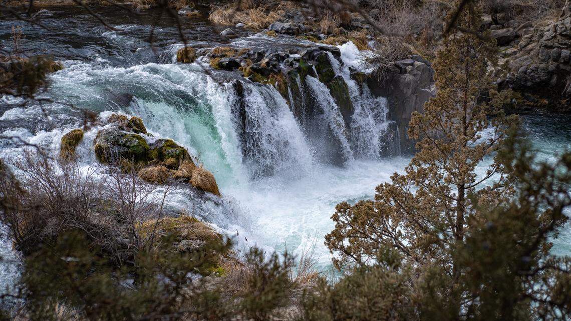 A 17-year-old swimmer never resurfaced after swimming toward the waterfall on June 3 at Steelhead Falls in Terrebonne, Oregon, deputies said.