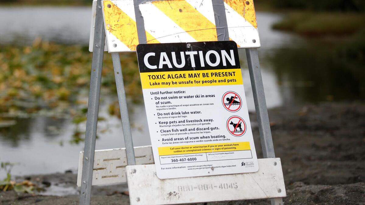 Signs warn of toxic algae bloom