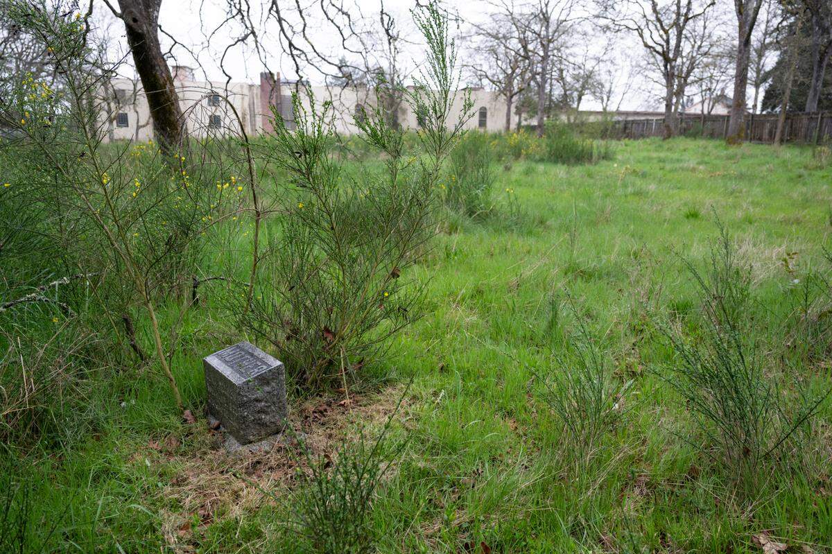Tombstones are visible in Potter’s Field Cemetery, where more than 1,600 people were buried, on Thursday, April 10, 2025, in Tacoma, Wash.