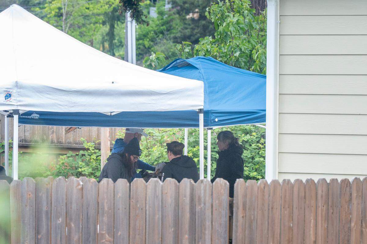 Investigators work under tents in the backyard of a home on the intersection of South Gunnison Street and South Wright Avenue after detectives received a tip related to a cold case on Monday, May 19, 2025, in Tacoma, Wash.