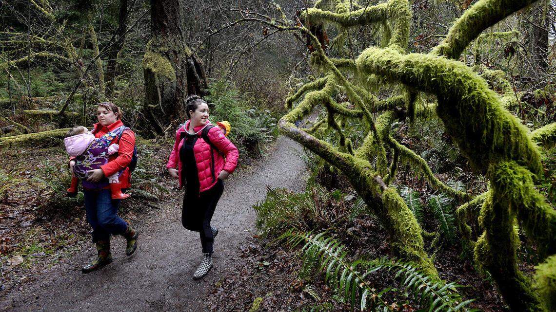Looking for Tacoma urban hikes? TNT’s new outdoors reporter recommends these
