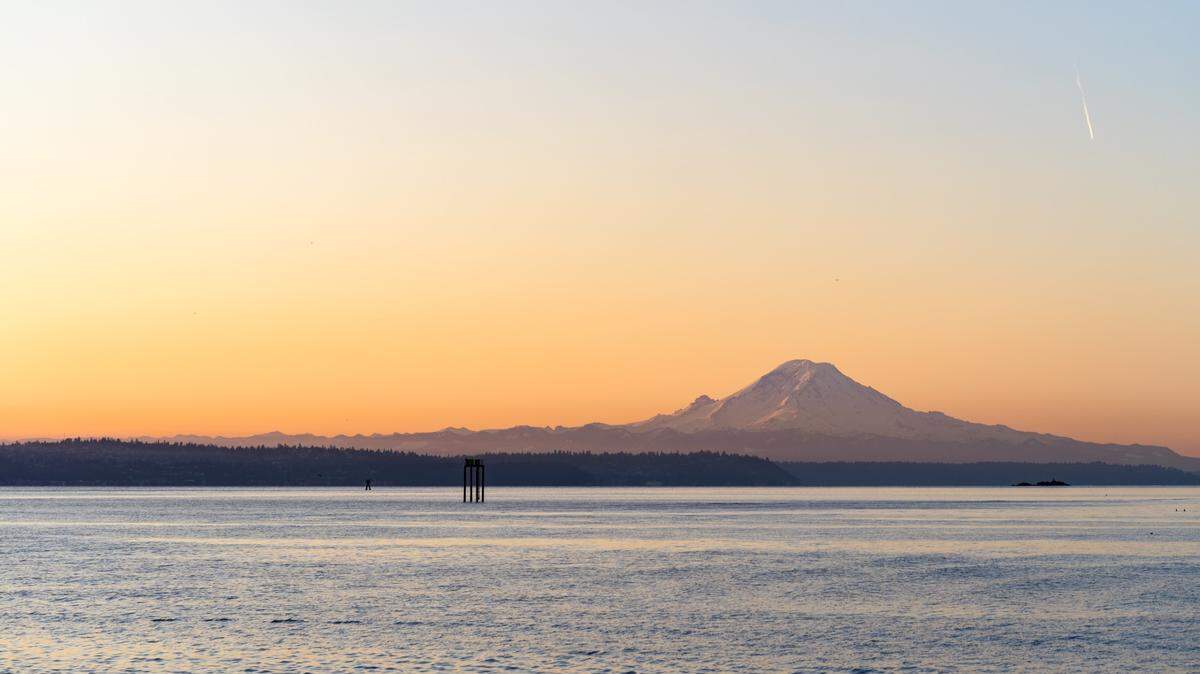 A pod of killer whales shocked a crowd in Washington, witnesses said.
