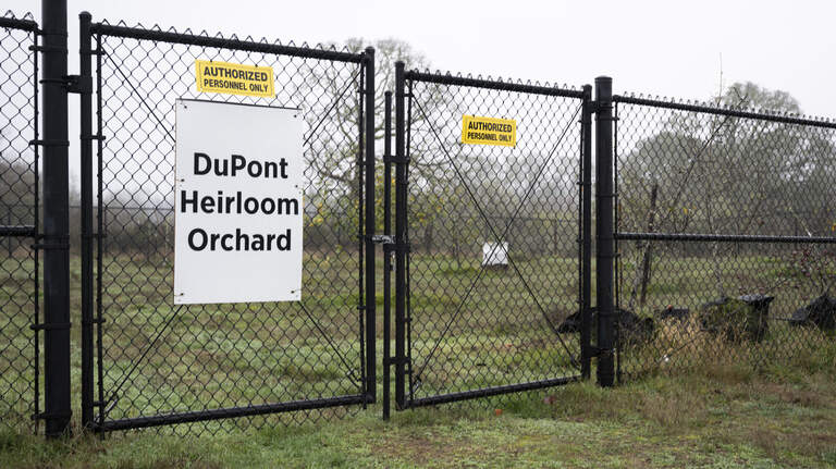 Toxic soil stalls work on historic orchard in Pierce County. Neighbors concerned