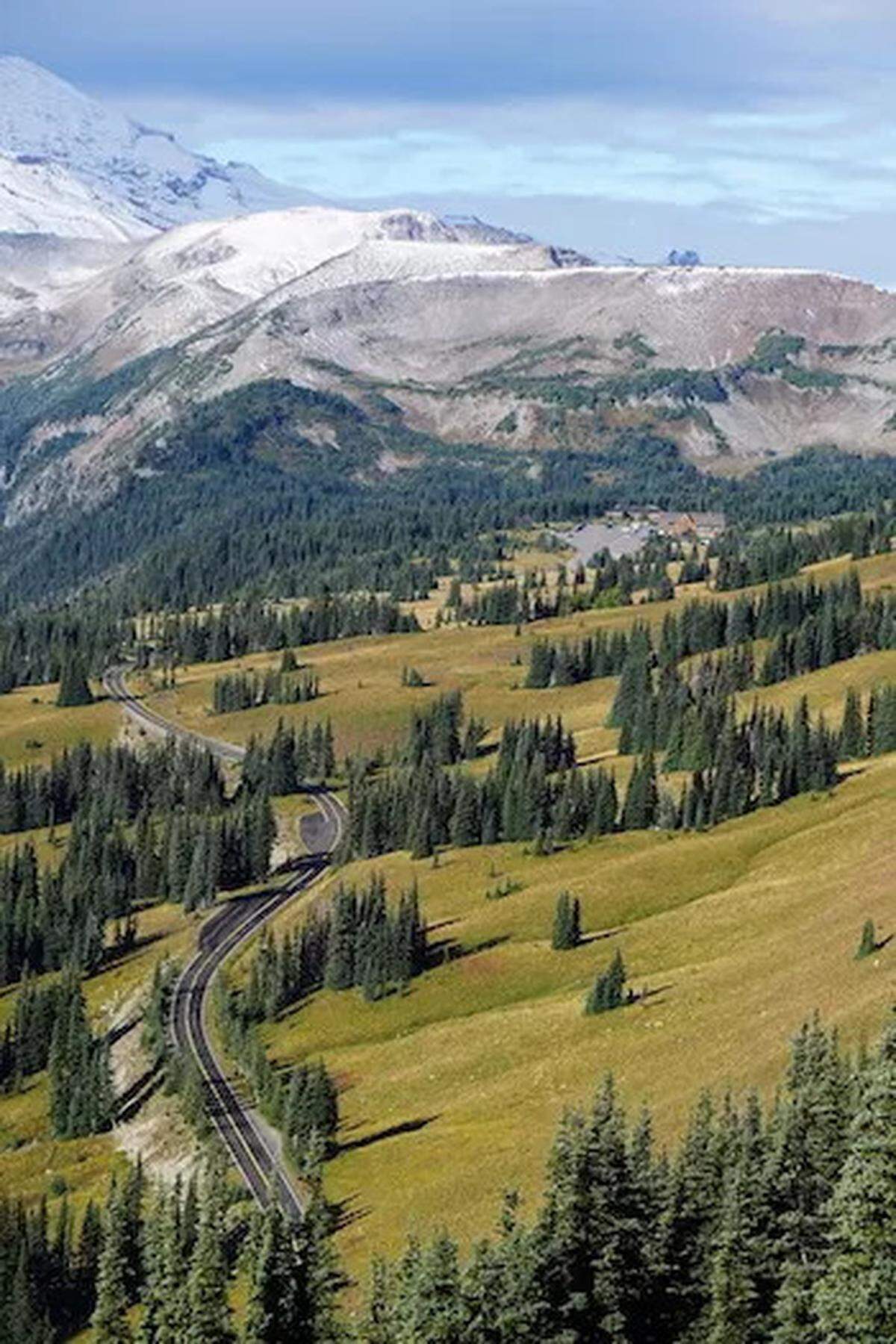 The Sunrise Corridor on the east side of Mount Rainier National Park. If you want to drive up to see it this summer, you will most likely need a reservation.