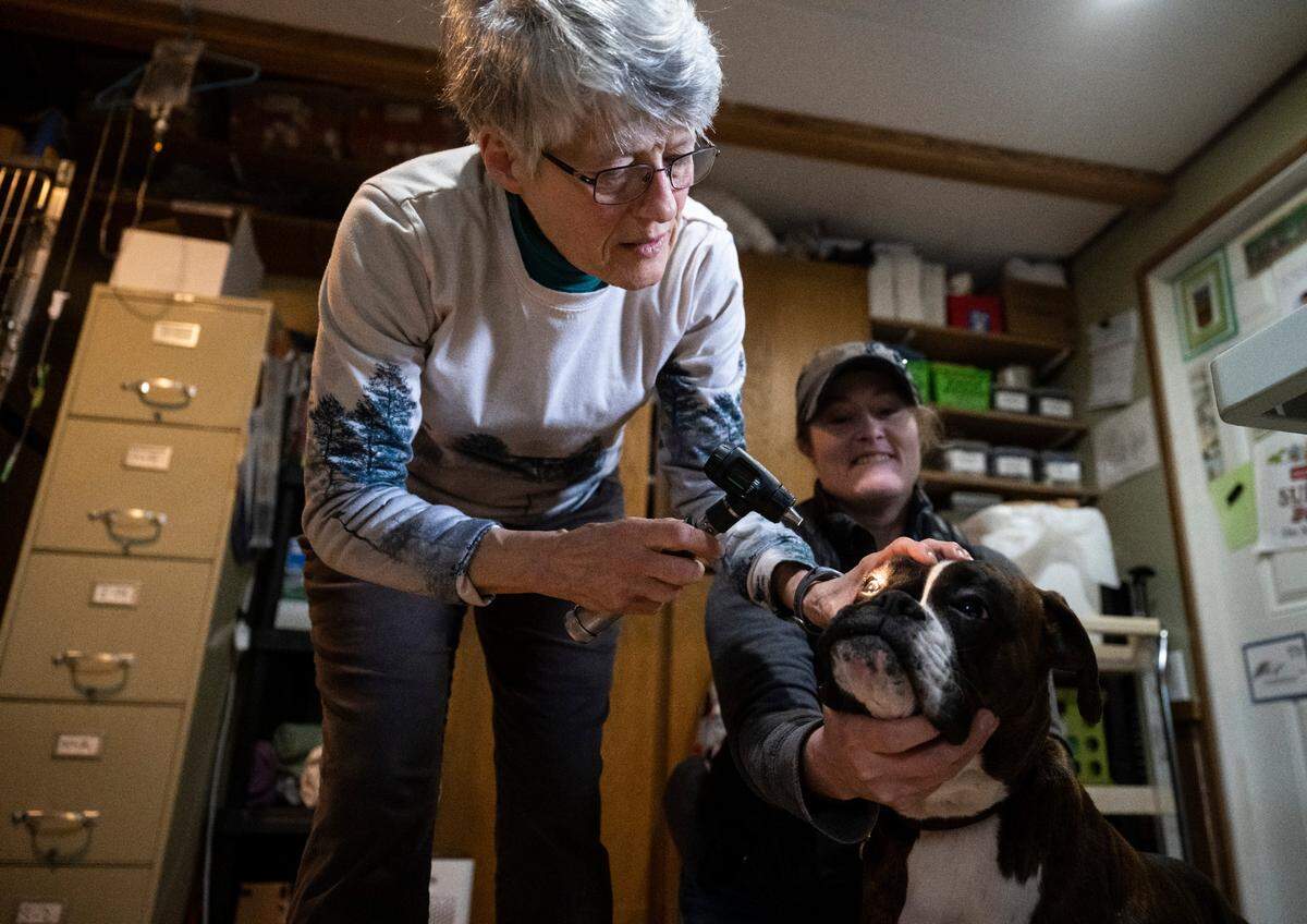 Veterinarian Shannon West checks her client’s dog, Lily Rose, for eye infections at her clinic in Graham on Jan. 19, 2023. West has operated out of a clinic attached to her home for years. After learning about the proposed airport sites she founded a group, Coalition Against Graham and Eatonville-Roy Airports, to rally the community to try and stop the airport from being built in Graham.