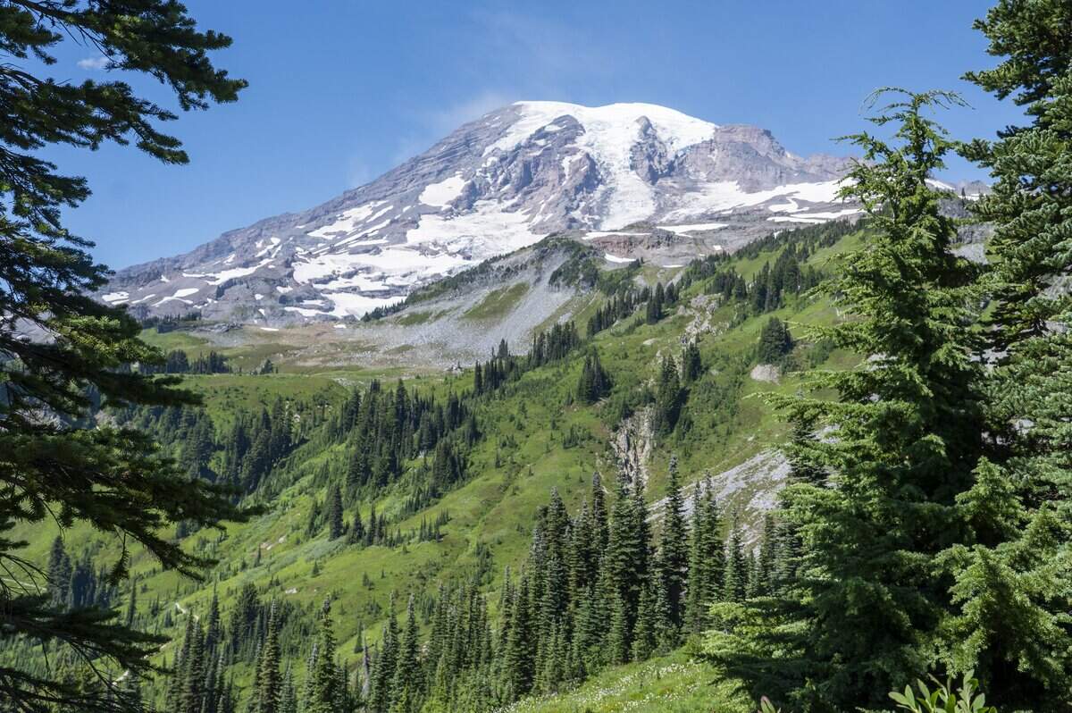 Mount Rainier is pictured on Monday, Aug. 11, 2025, at Mount Rainier National Park.