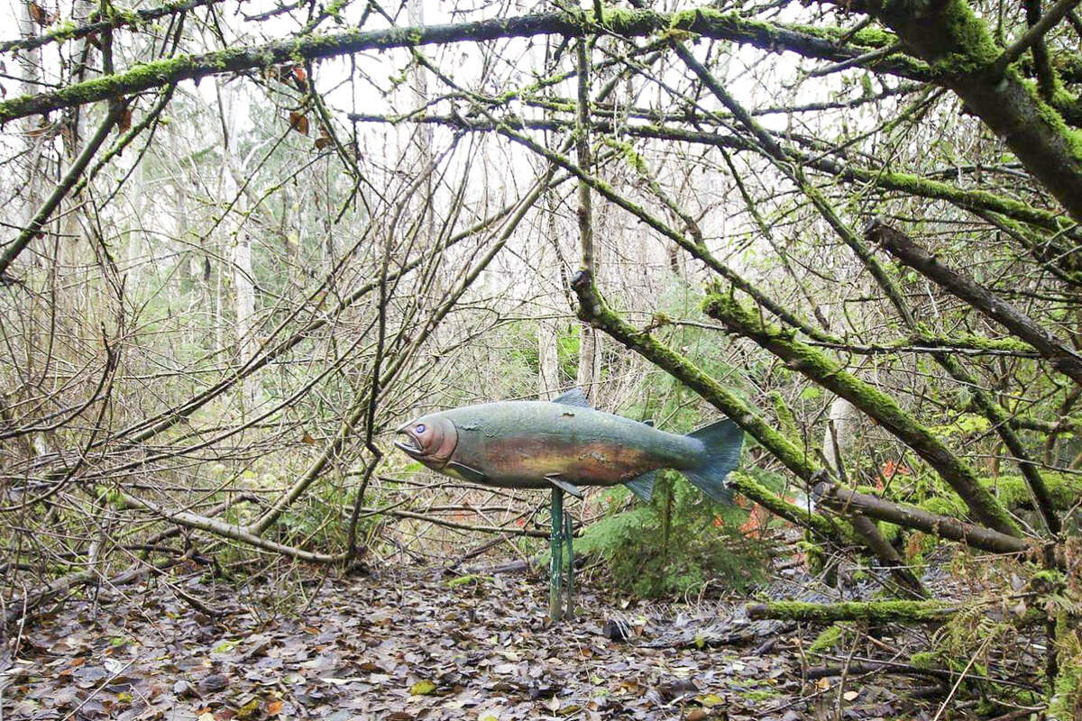 The Soul Salmon that was stolen is seen in its original resting place near the picnic area on the lower trailhead of the Puget Creek Natural Area in Tacoma, Wash.