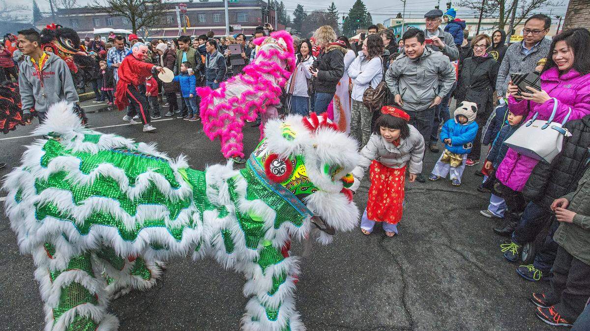 Vicky Nguyen, 9 of Puyallup, feeds a money offering to a Lion in February 2016 during a Lunar New Year celebration in the Lincoln Business District of Tacoma.