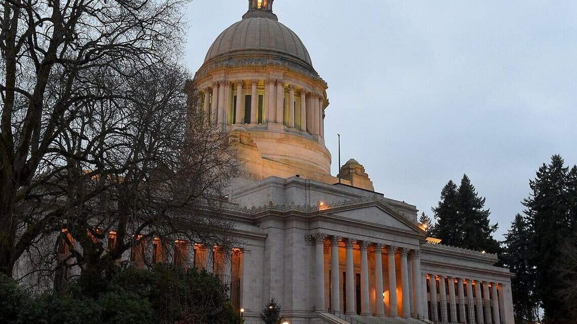 Showing some spine: On capital gains tax, two Pierce County Democrats break ranks