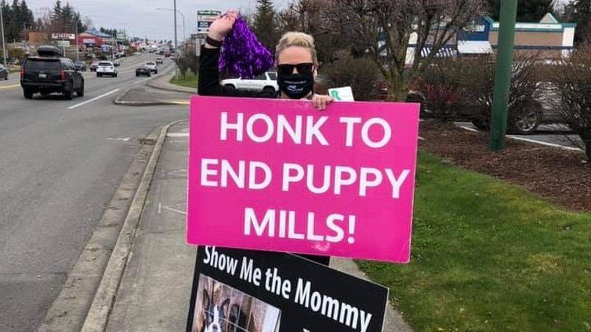 An unnamed protester stands outside the Puppyland pet store in Puyallup in this undated file photo.
