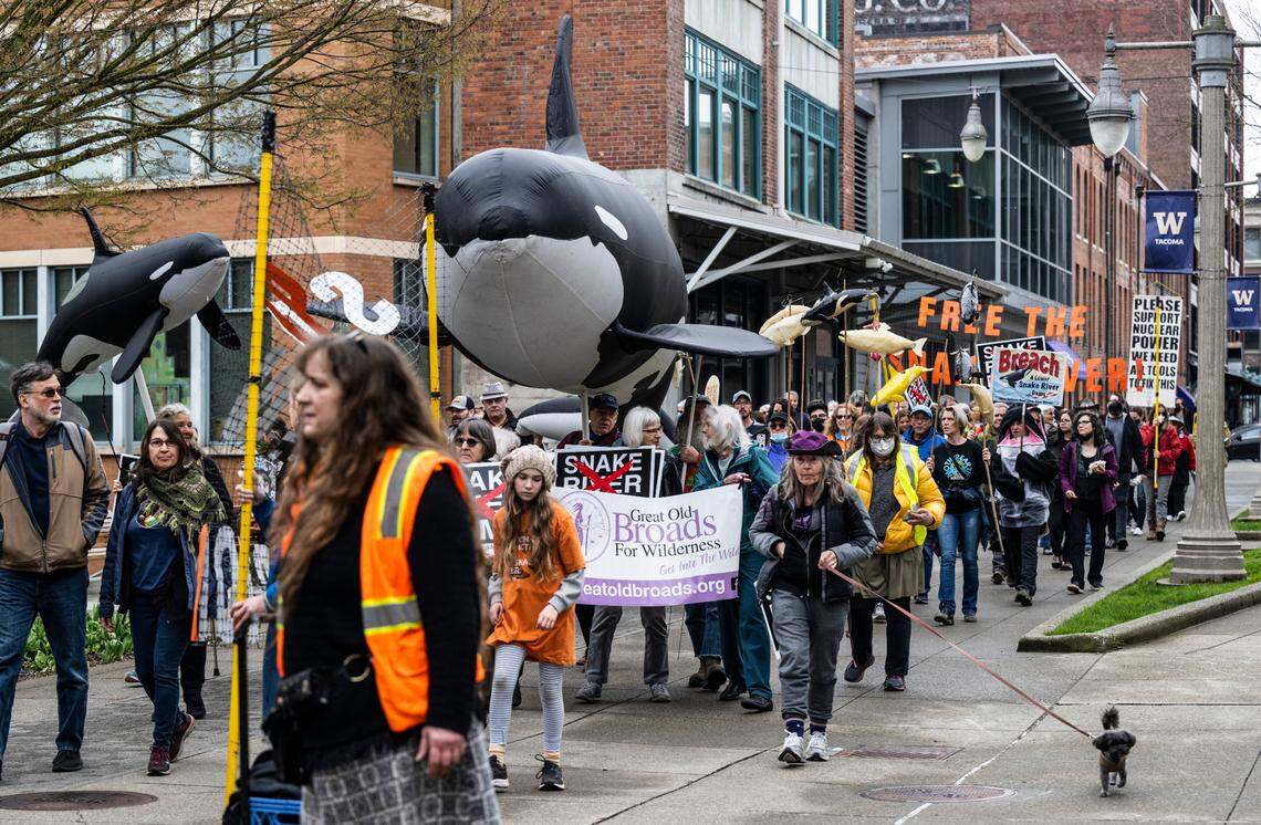 Protesters march through University of Washington’s campus to advocate for the removal of the Snake River dams and rally against the extinction of protected salmon in Tacoma, Wash. on Saturday, March 26, 2022.