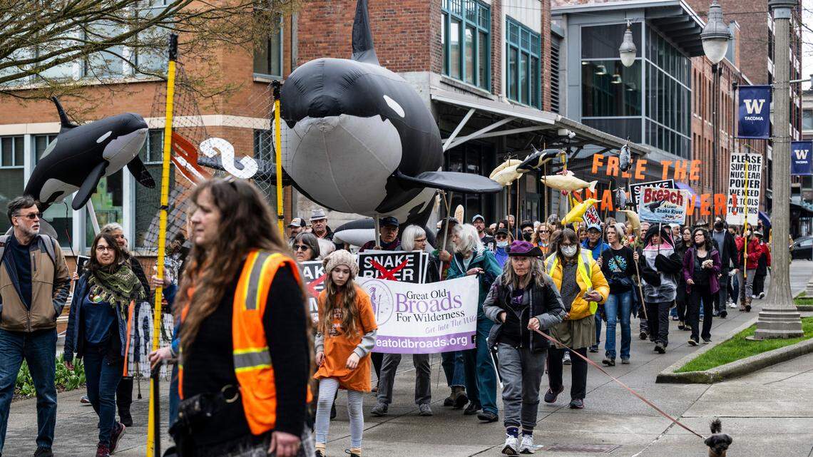Protesters march through University of Washington’s campus to advocate for the removal of the Snake River dams and rally against the extinction of protected salmon in Tacoma, Wash. on Saturday, March 26, 2022.