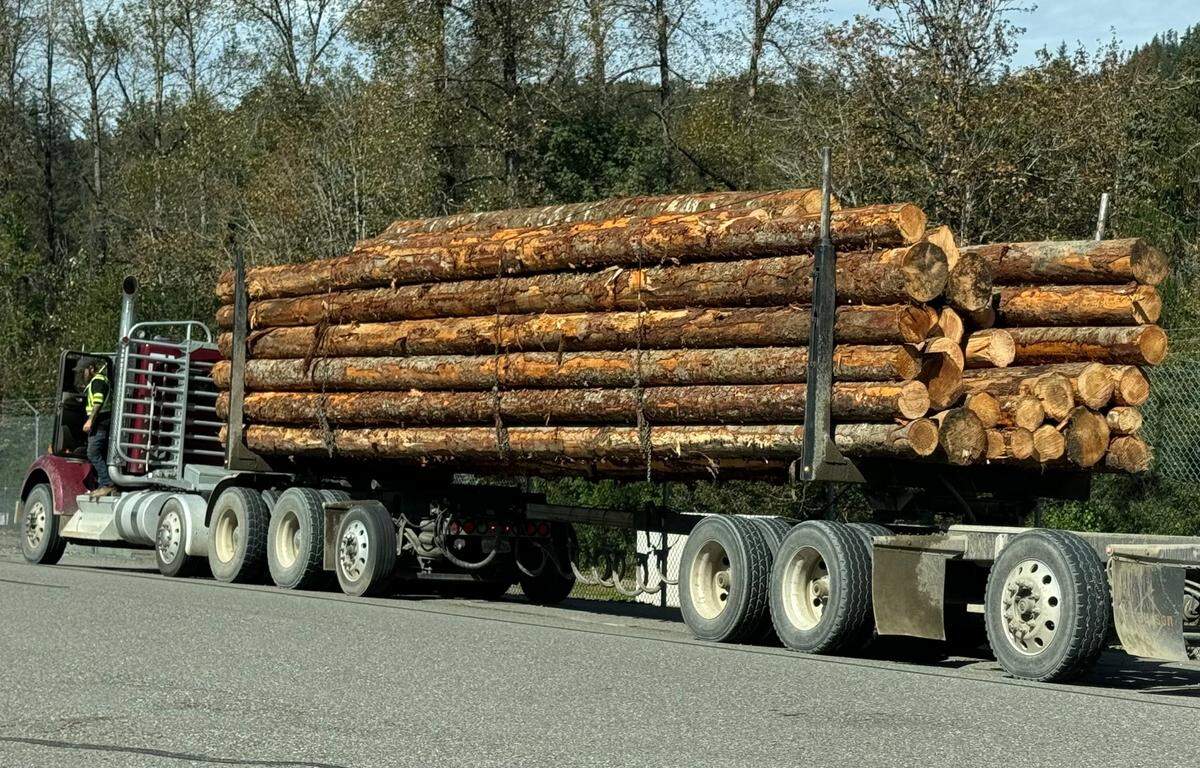 A logging truck is ready for departure from the Green River watershed on Sept. 26, 2024.