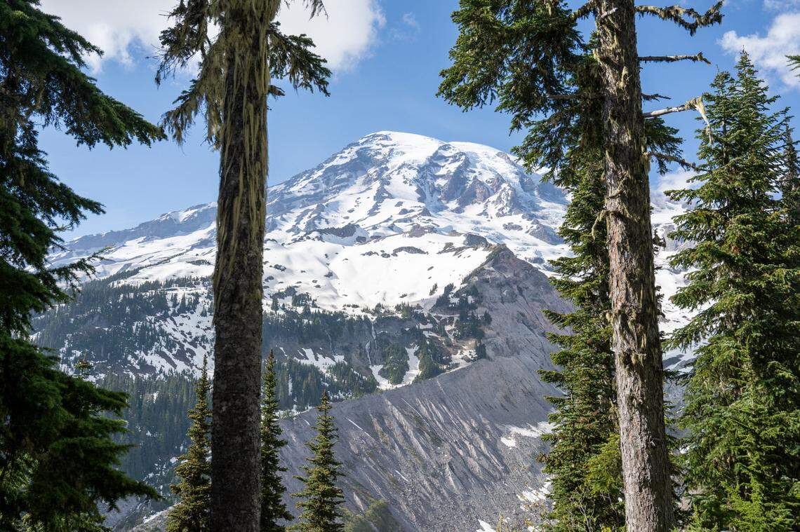 Mount Rainier is visible through the trees from the Nisqually Vista Trail on Friday, June 6, 2025, at Mount Rainier National Park.