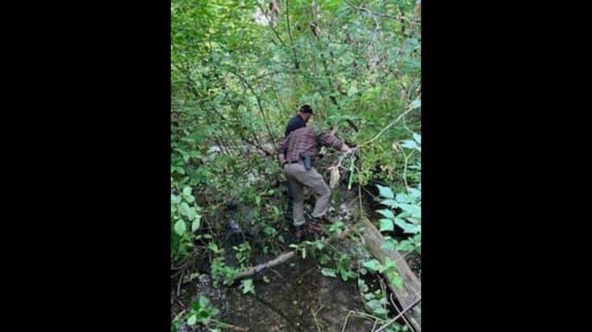 Pierce County Sheriff’s Office personnel investigate the site where human remains were discovered near the Purdy park-and-ride, Thursday, July 11, 2024.