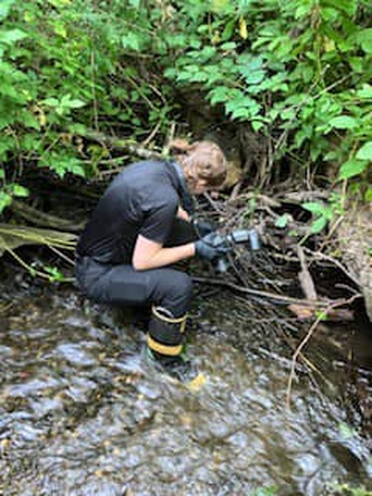Human remains were found near the Purdy Park and Ride in Gig Harbor on Wednesday, according to the Pierce County Sheriff’s Department.