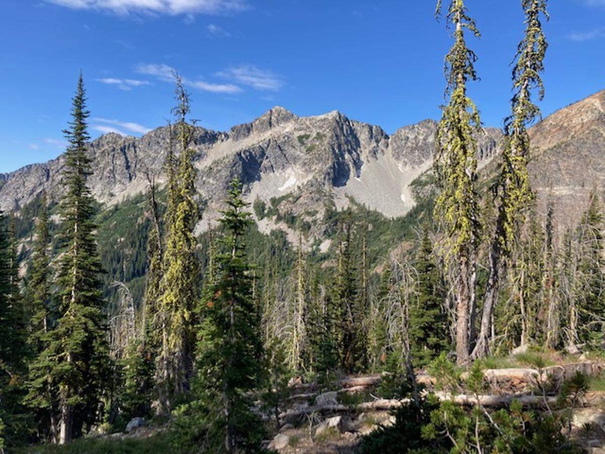 A group of men and women from across the state just returned from a seven-day backpacking trip in the Cascades. Dave Pine, 88 from Gig Harbor, was one of the oldest.