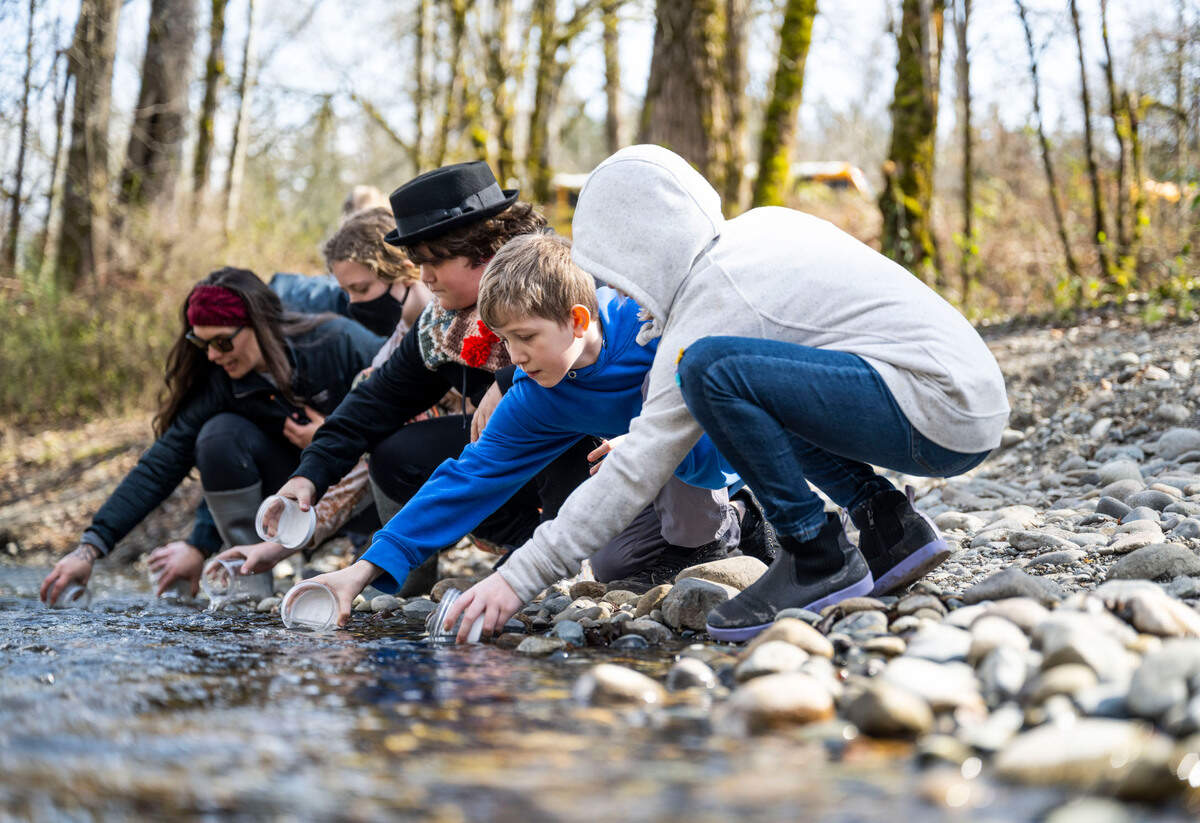 Grant Elementary School fifth grader Murdock Malone, 10, center, releases a juvenile coho salmon into Swan Creek with some of his classmates during a school field trip that is part of the Foss Waterway Seaport’s Salmon in the Classroom program, in Tacoma on March 15, 2023. This year 35 classes in 17 elementary schools were a part of the program and hatched coho salmon eggs in their classrooms.