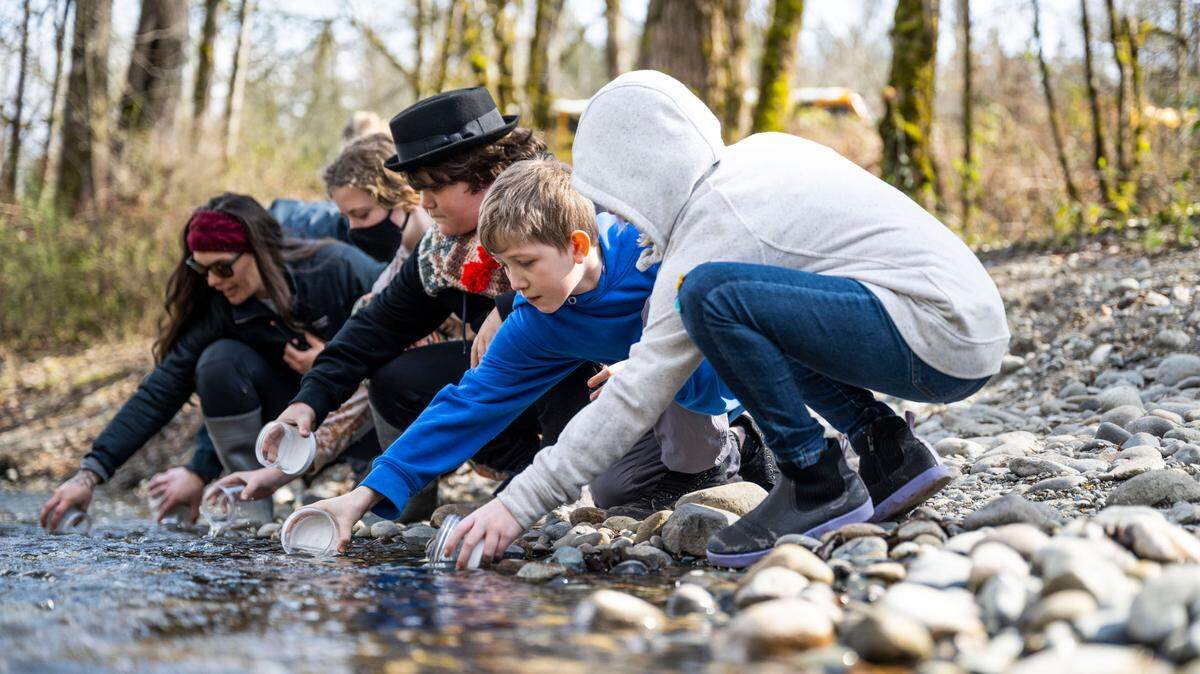 Grant Elementary School fifth grader Murdock Malone, 10, center, releases a baby Coho salmon into Swan Creek with some of his classmates during a school field trip that is part of the Foss Waterway Seaport’s Salmon in the Classroom program, in Tacoma, Wash. on March 15, 2023.