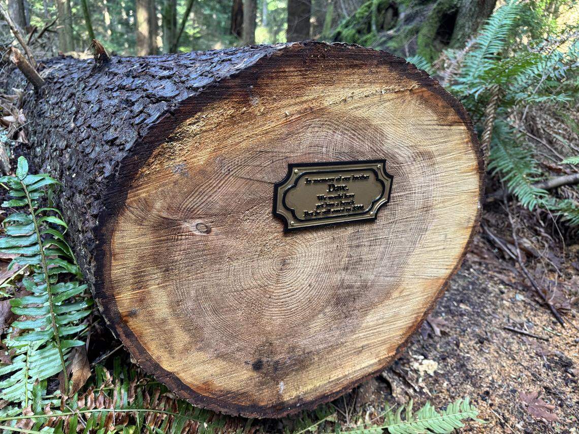 Just off trail, a cryptic mystery plaque was found at Point Defiance Park.