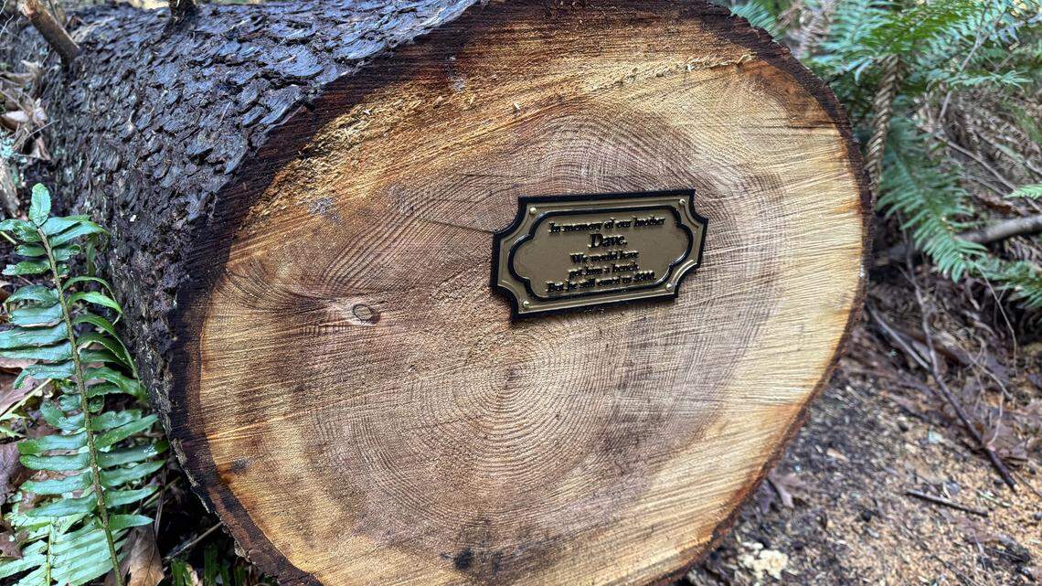 A mysterious ‘whodunit’ on popular Point Defiance trail piques curiosity