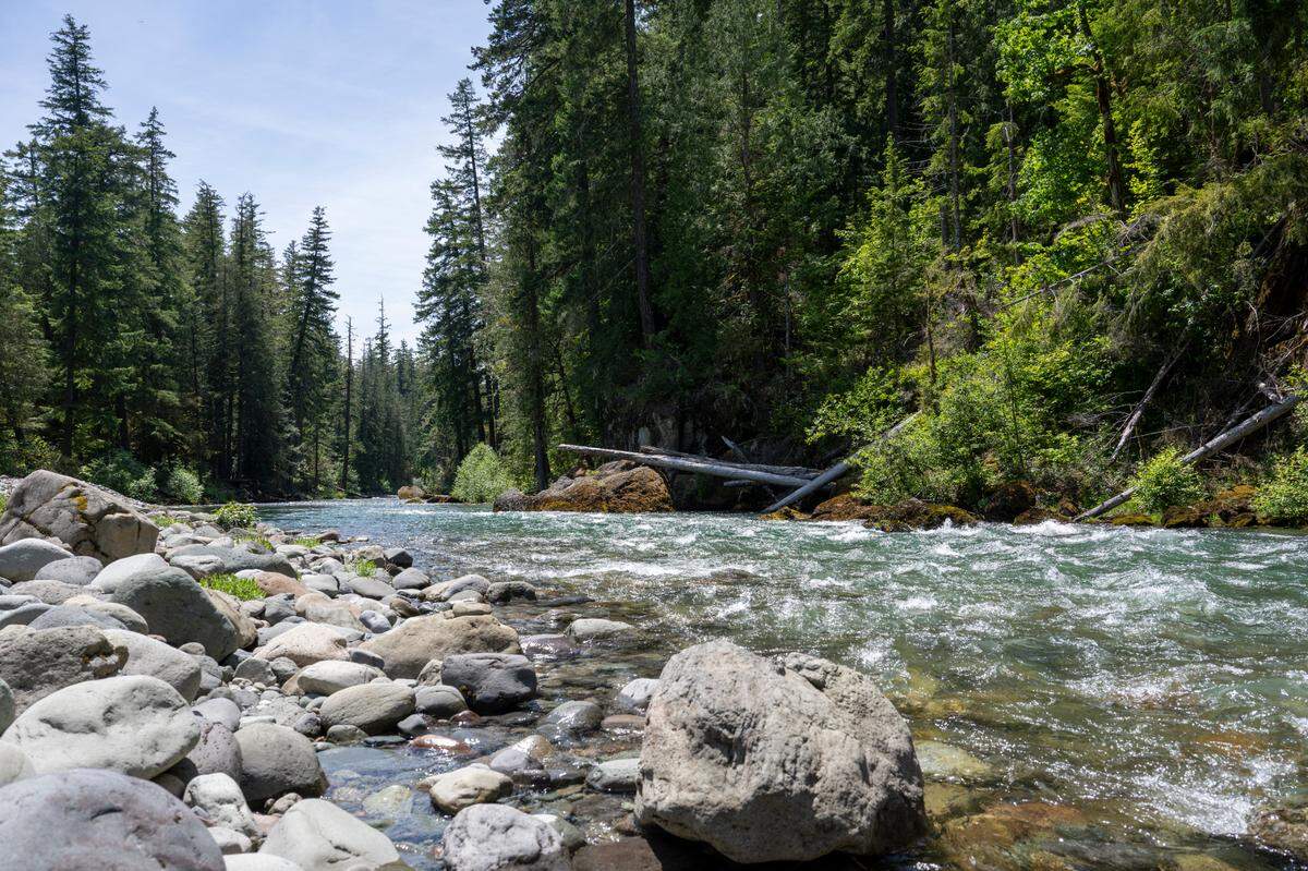 The Ohanepecosh River, a river fed by Mount Rainier’s glaciers, runs by the La Wis Wis Campgrounds on Friday, June 6, 2025, at Mount Rainier National Park.