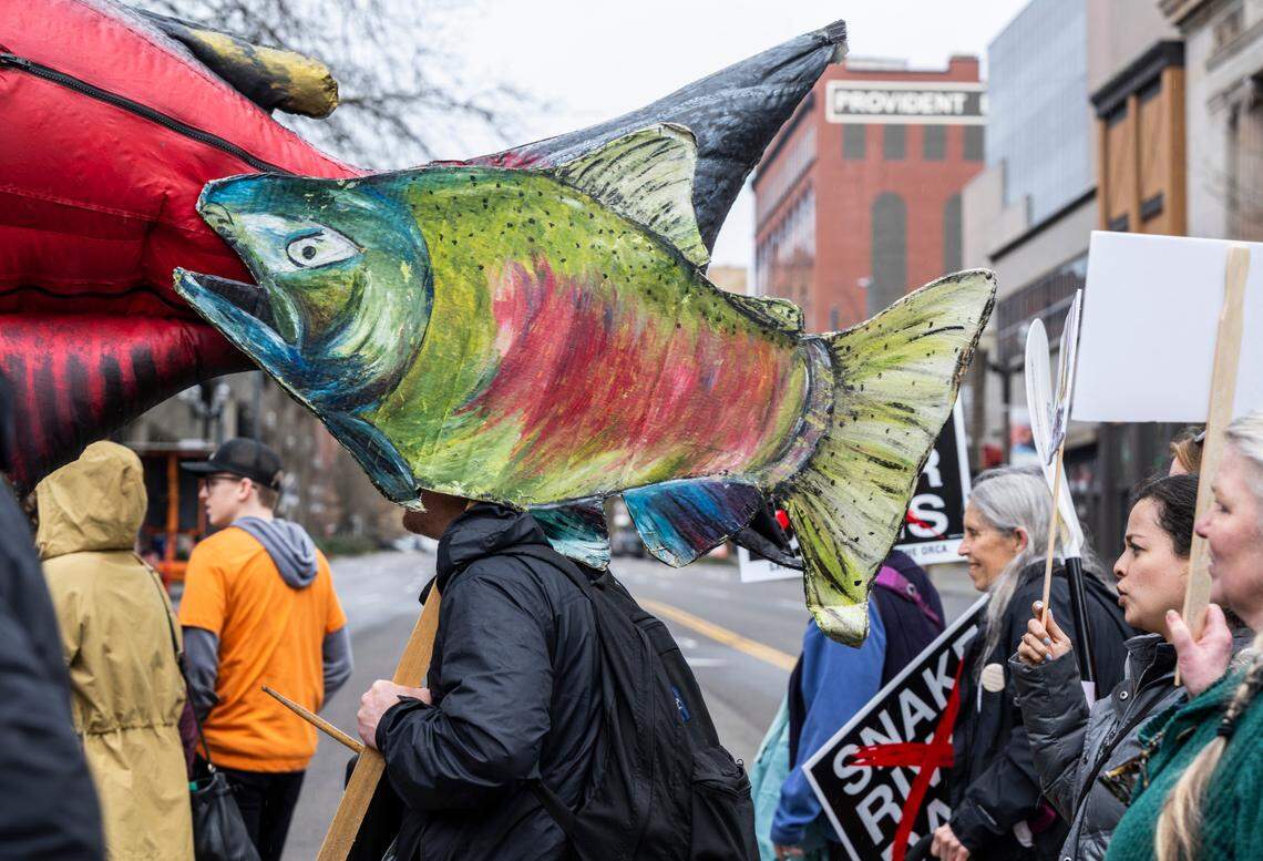 Protesters march through downtown Tacoma to advocate for the removal of the Snake River dams in March 2022.