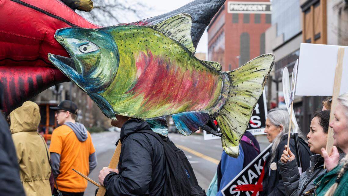 Judge orders more water for fish, less for hydropower on Snake, Columbia rivers