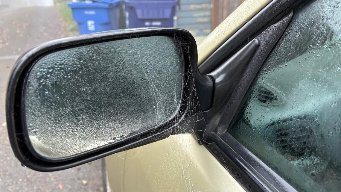 Biking in Tacoma didn’t kill me, but I’m glad my ‘week without driving’ is over