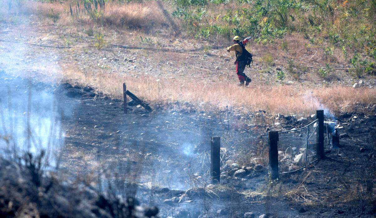A firefighter walks past burned grassland at a wildfire in Roy, Washington, on Thursday, July 6, 2023.