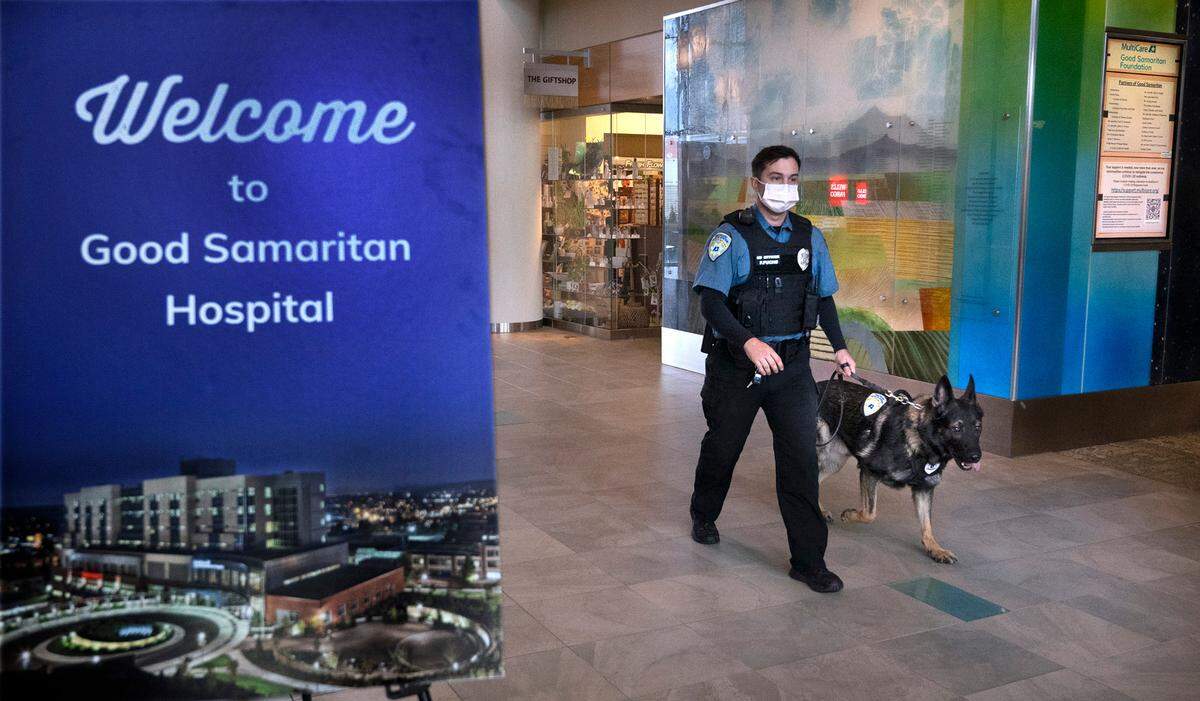Frank Fuchs and his working K9, Sam, patrol the lobby at Good Samaritan Hosptial in Puyallup, Washington, on Thursday, Oct. 27, 2022. Sam and his handler were brought on to offer comfort, help deescalate issues, and identify illegal drugs being brought into the hospital.
