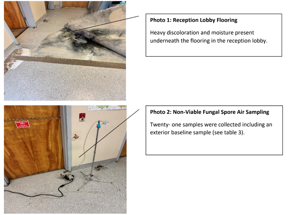 Metro Animal Services has been closed to the public since Dec. 11, when staff found mold in the building and evacuated all humans and animals. An expert evaluated the building and gave the agency a report, including pictures of the growth.